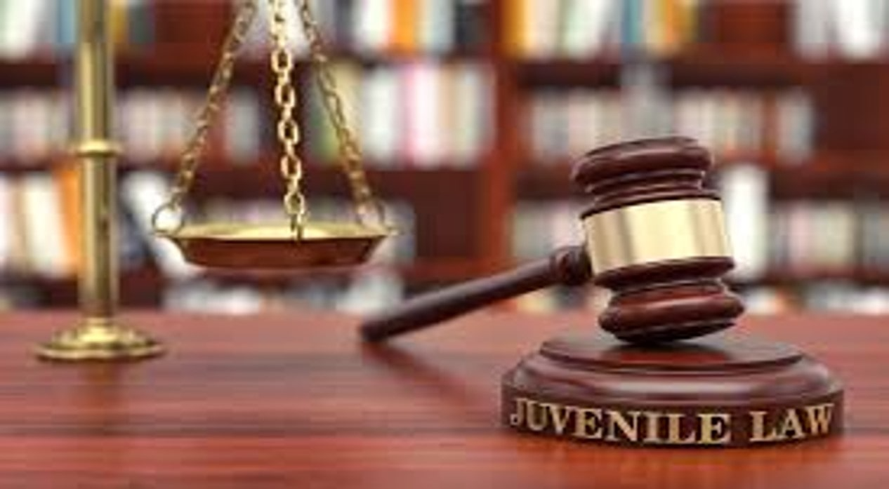 This image shows a wooden gavel labeled "Juvenile Law" resting on a desk. Behind it, there's a golden justice scale and blurred shelves filled with books, symbolizing legal systems.